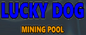 Lucky Dog Pool